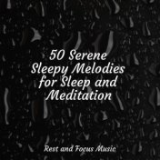 50 Serene Sleepy Melodies for Sleep and Meditation