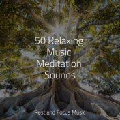 50 Relaxing Music Meditation Sounds