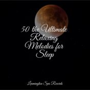 50 the Ultimate Relaxing Melodies for Sleep