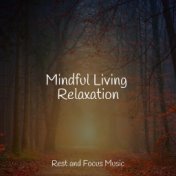 Mindful Living Relaxation