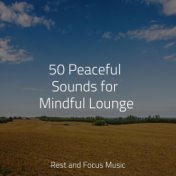 50 Peaceful Sounds for Mindful Lounge