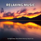 #01 Relaxing Music for Night Sleep, Stress Relief, Relaxing, Dogs & Cats