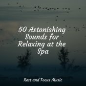 50 Astonishing Sounds for Relaxing at the Spa