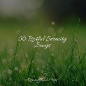 50 Restful Serenity Songs