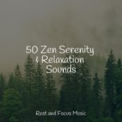 50 Zen Serenity & Relaxation Sounds