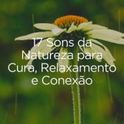 17 Sons da Natureza para Cura, Relaxamento e Conexão