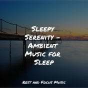 Sleepy Serenity - Ambient Music for Sleep