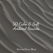 50 Calm & Soft Ambient Sounds