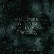 50 Ultimate Sounds for Instant Peace & Tranquility