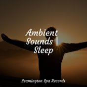 Ambient Sounds | Sleep