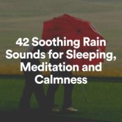 42 Soothing Rain Sounds for Sleeping, Meditation and Calmness
