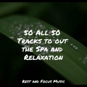 50 All 50 Tracks to out the Spa and Relaxation