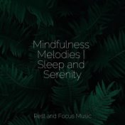 Mindfulness Melodies | Sleep and Serenity