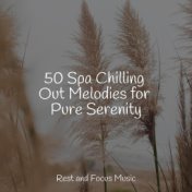 50 Spa Chilling Out Melodies for Pure Serenity