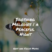 Soothing Melodies | a Peaceful Night