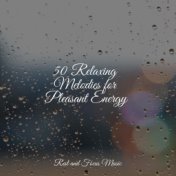 50 Relaxing Melodies for Pleasant Energy