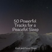 50 Powerful Tracks for a Peaceful Sleep