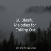 50 Blissful Melodies for Chilling Out