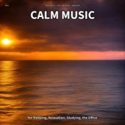 #01 Calm Music for Sleeping, Relaxation, Studying, the Office