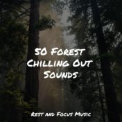 50 Forest Chilling Out Sounds