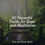 50 Powerful Tracks for Yoga and Meditation