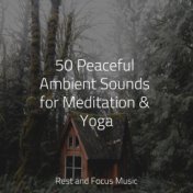 50 Peaceful Ambient Sounds for Meditation & Yoga