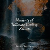 Moments of Ultimate Healing Sounds