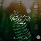 Spring Relaxing Melodies | Chill Ambience