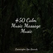 #50 Calm Music Massage Music