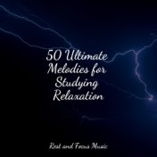 50 Ultimate Melodies for Studying Relaxation