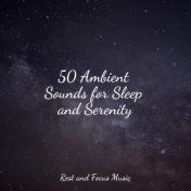 50 Ambient Sounds for Sleep and Serenity