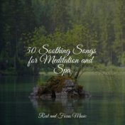 50 Soothing Songs for Meditation and Spa