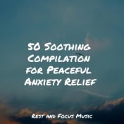 50 Soothing Compilation for Peaceful Anxiety Relief