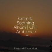 Calm & Soothing Album | Chill Ambience