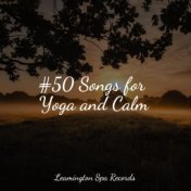 #50 Songs for Yoga and Calm