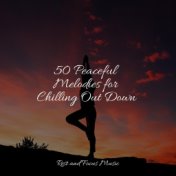 50 Peaceful Melodies for Chilling Out Down