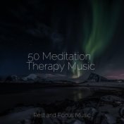 50 Meditation Therapy Music
