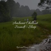 Ambient Chillout Sounds | Sleep