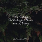 50 Soothing Melodies for Babies and Morning