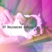 57 Welcoming Sounds For Sleep