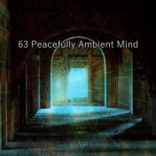 63 Peacefully Ambient Mind