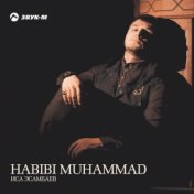 Habibi Muhammad (Nasheed)