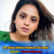 Re Silwa Dilwa Hamar Tor Dele
