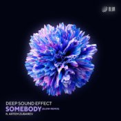 Somebody (Slow Remix)