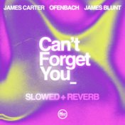 Can’t Forget You (feat. James Blunt) (slowed + reverb)