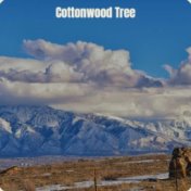 Cottonwood Tree