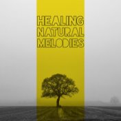 Healing Natural Melodies - Gentle and Pleasurable Tracks for Total Relaxation Moments