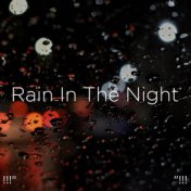 !!!" Rain In The Night "!!!