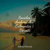 Sonidos Ambientales Calmantes | Dormir