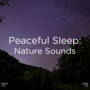 !!!" Peaceful Sleep: Nature Sounds "!!!